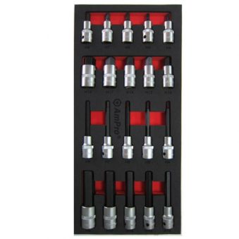 TS43217 20 piece 1/2" Dr.Hex Bit Socket Set